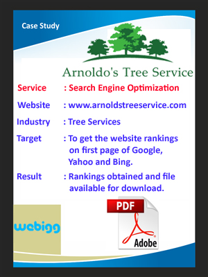 Happy Clients of Webigg Technology