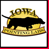 Happy Clients of Webigg Technology